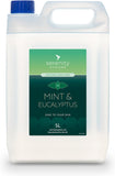 Mint and eucalyptus hand foam sanitiser in a 5L container, featuring a green label from Serenity Hygiene.