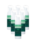 Mint and eucalyptus hand foam sanitiser bottles with a gentle cleaning formula and biocidal effectiveness.