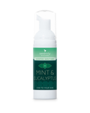 Mint and eucalyptus hand foam sanitiser bottle with gentle cleansing formula.